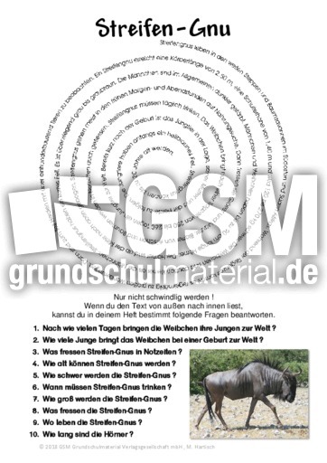 Streifen-Gnu.pdf
